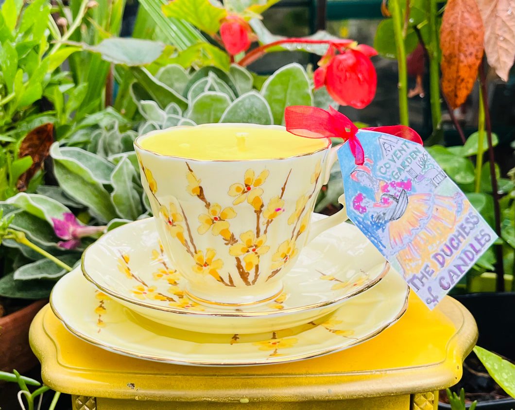 1930s Yellow blossoms Crown Staffordshire Soy Teacup Candle Trio