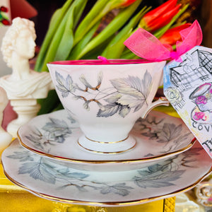 Beautiful Royal Albert ‘ Silver Maple’ Scented Soy Teacup Trio