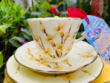 Load image into Gallery viewer, 1930s Yellow blossoms Crown Staffordshire Soy Teacup Candle Trio

